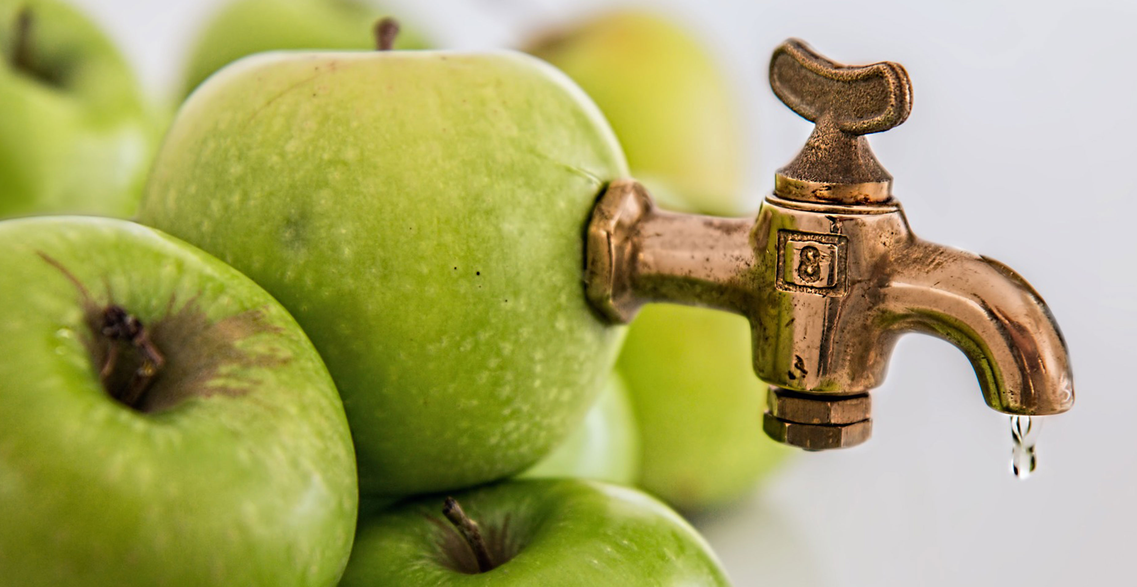 Les bon gestes pour économiser l'eau